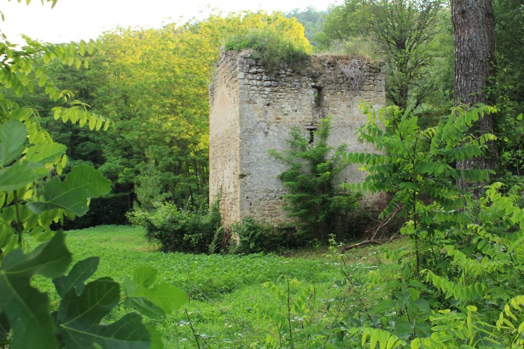 הוילה Civitella dʼAgliano Il Molinaccio Al Rio Chiaro מראה חיצוני תמונה